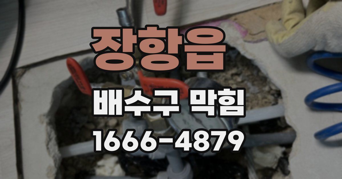장항읍 배수구 막힘