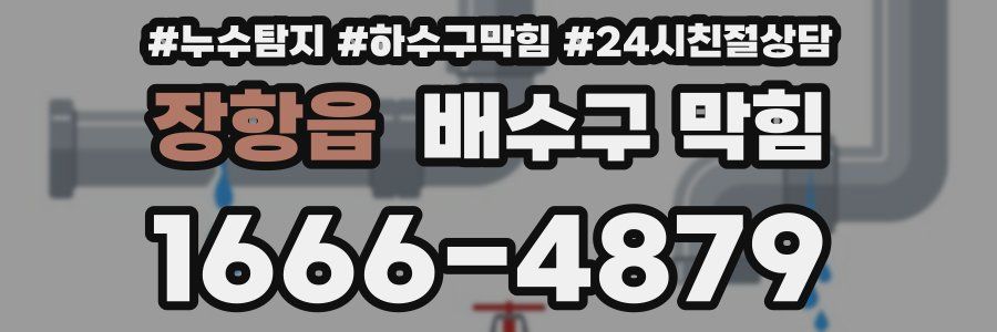 장항읍 배수구 막힘