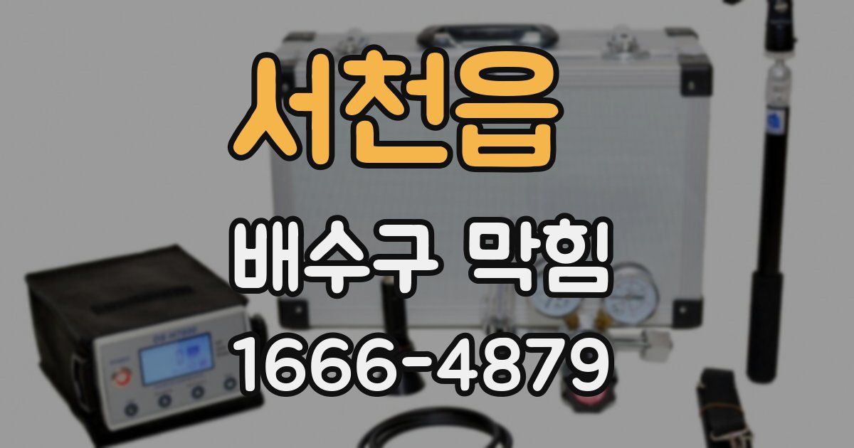 서천읍 배수구 막힘