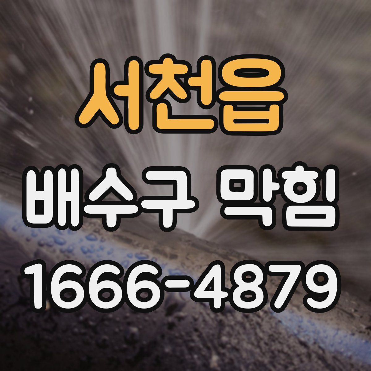 서천읍 배수구 막힘