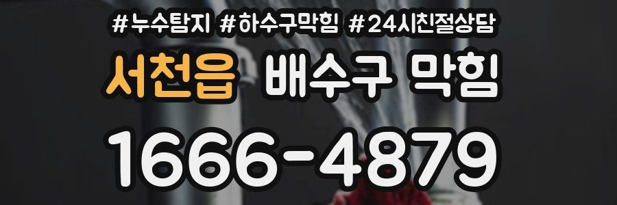 서천읍 배수구 막힘