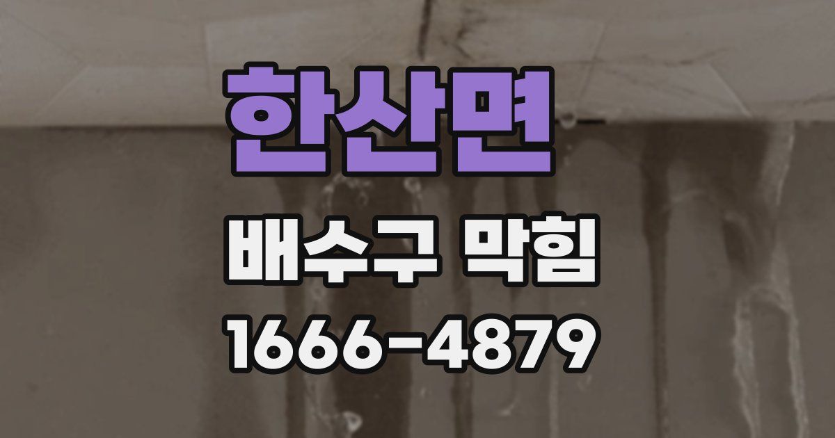 한산면 배수구 막힘
