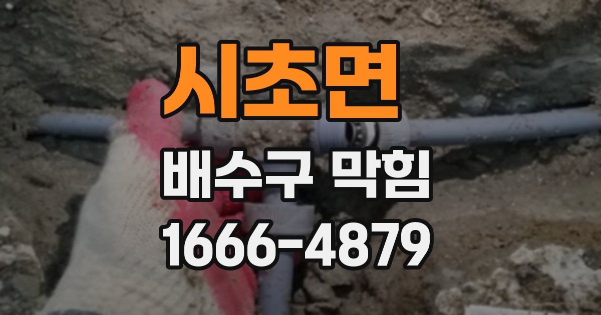 시초면 배수구 막힘