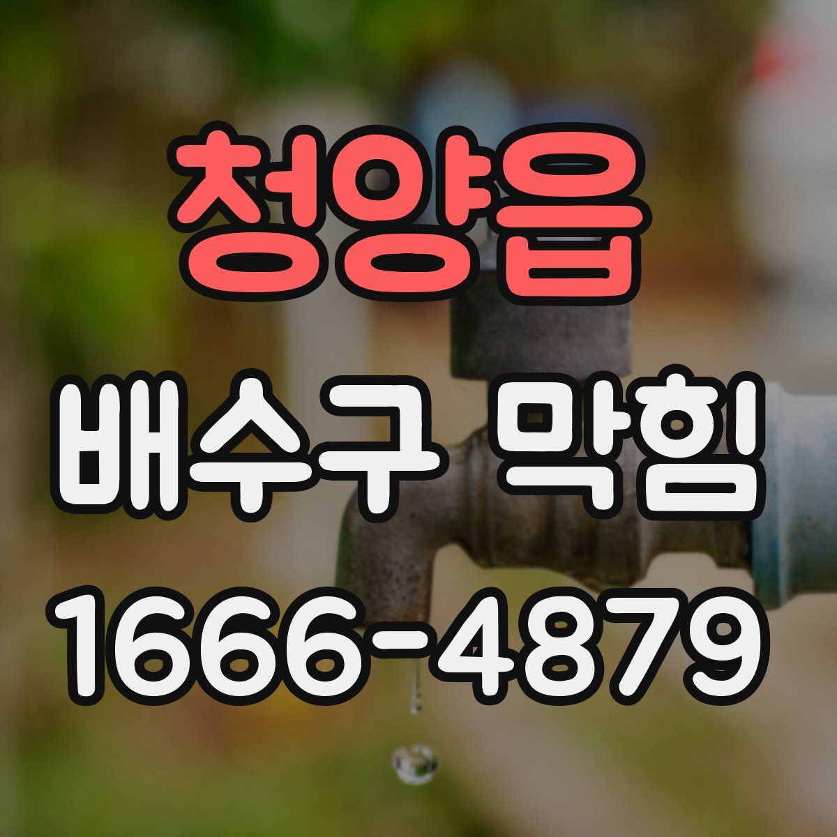 청양읍 배수구 막힘