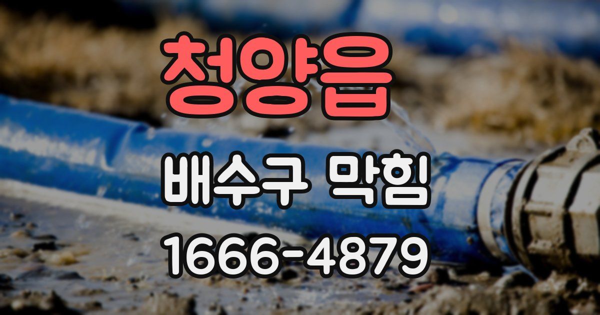 청양읍 배수구 막힘