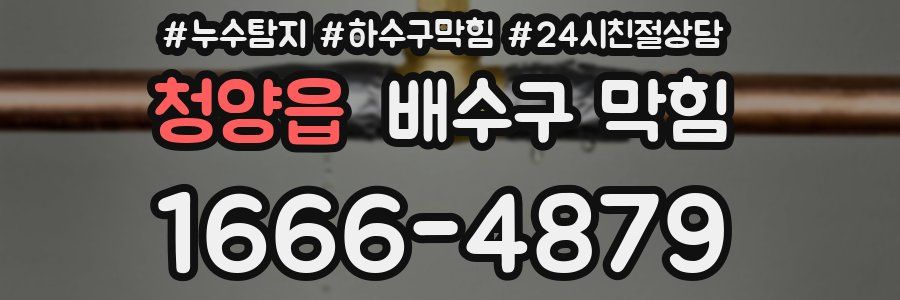 청양읍 배수구 막힘