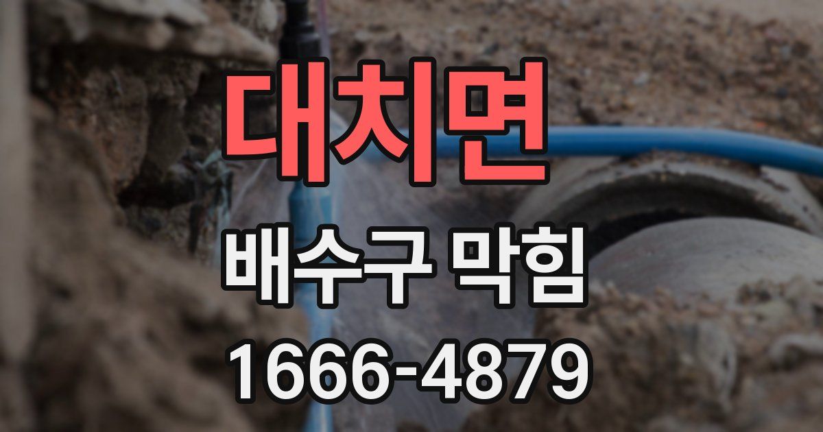 대치면 배수구 막힘