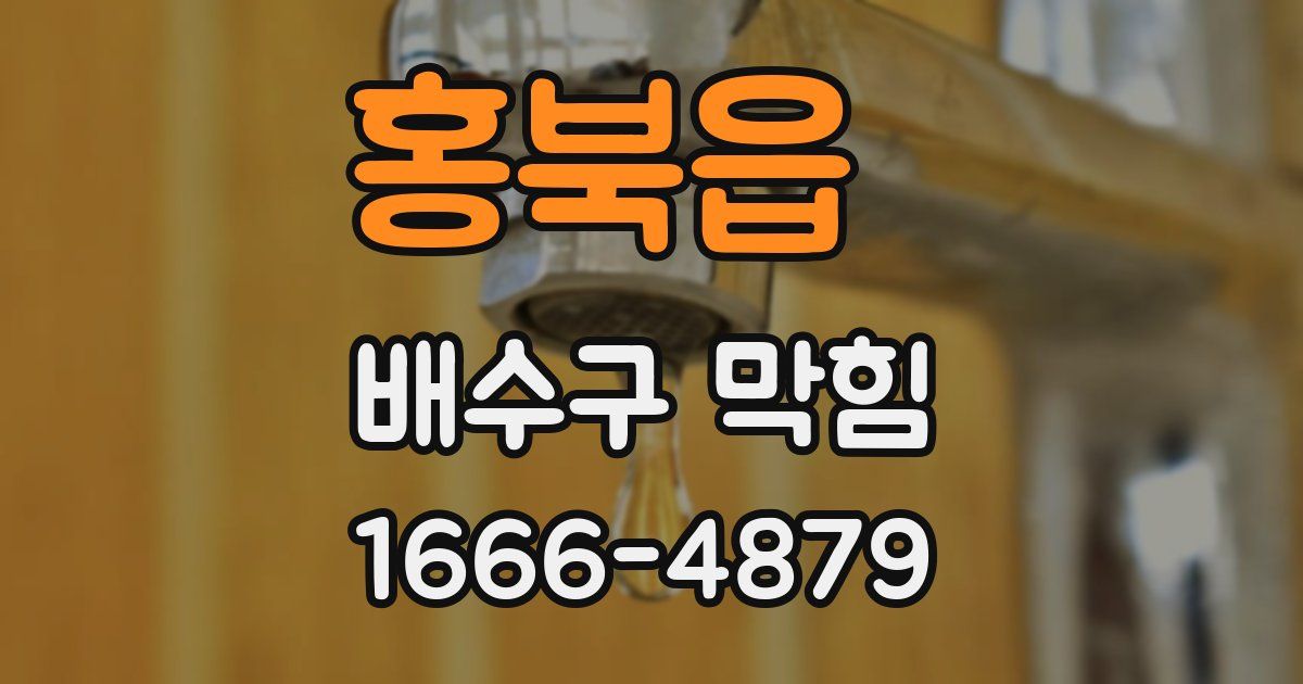 홍북읍 배수구 막힘