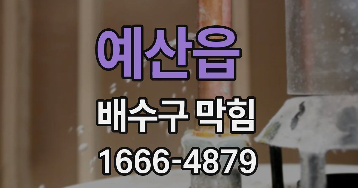 예산읍 배수구 막힘