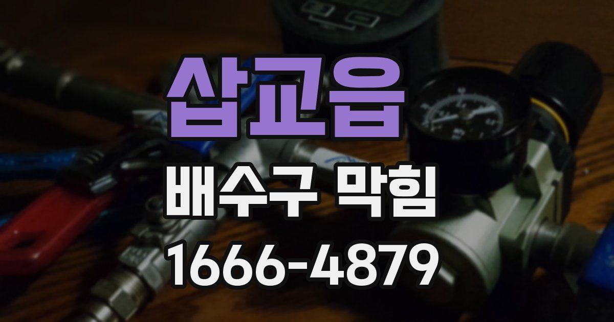 삽교읍 배수구 막힘
