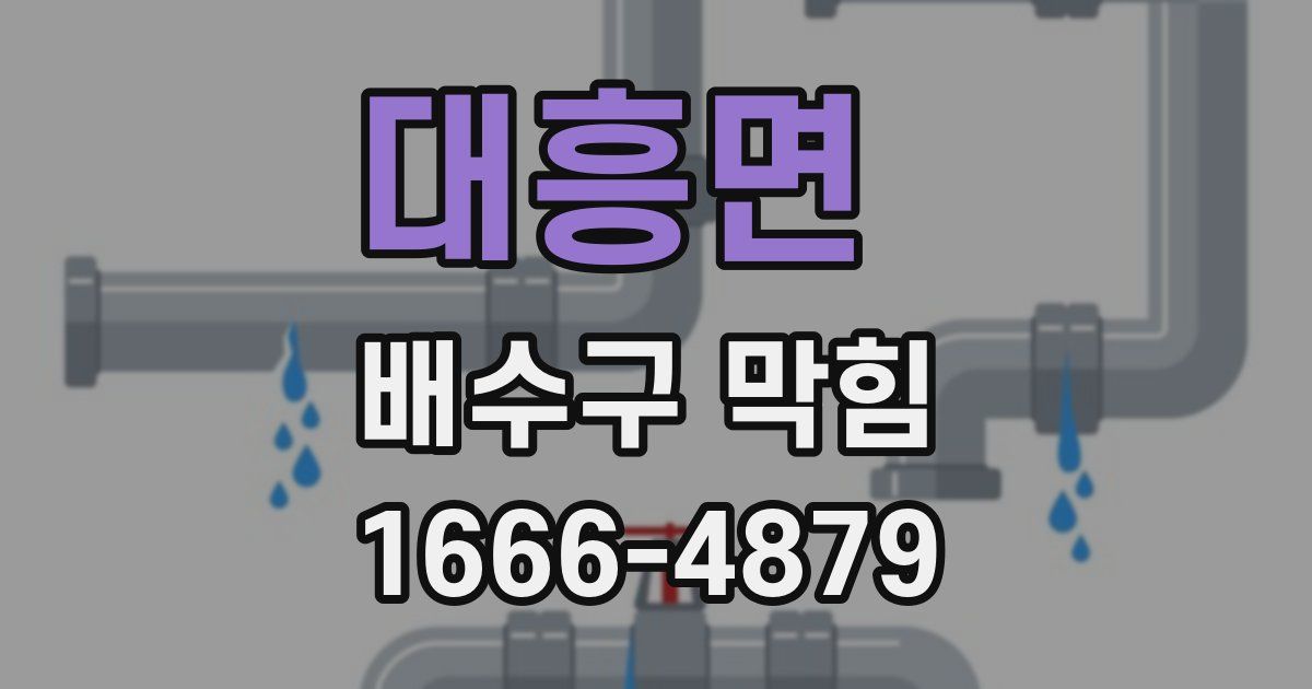 대흥면 배수구 막힘