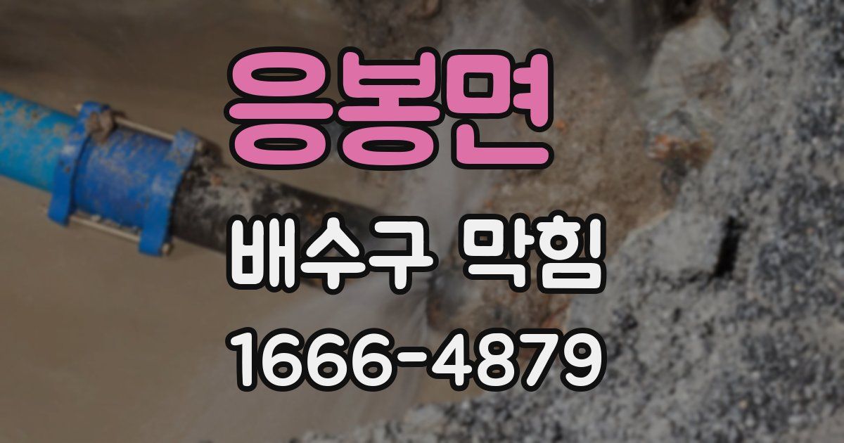 응봉면 배수구 막힘