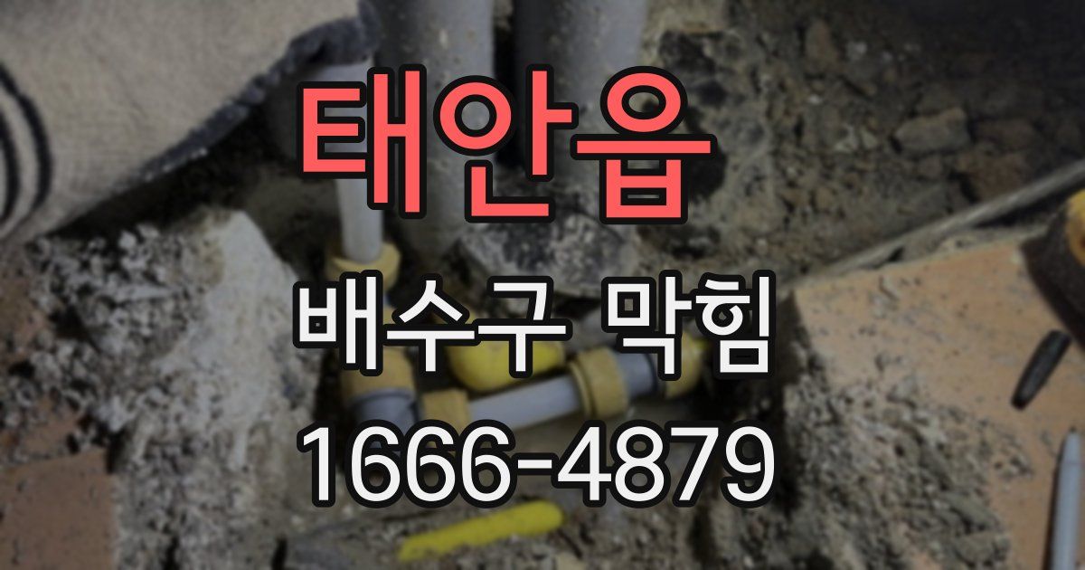 태안읍 배수구 막힘