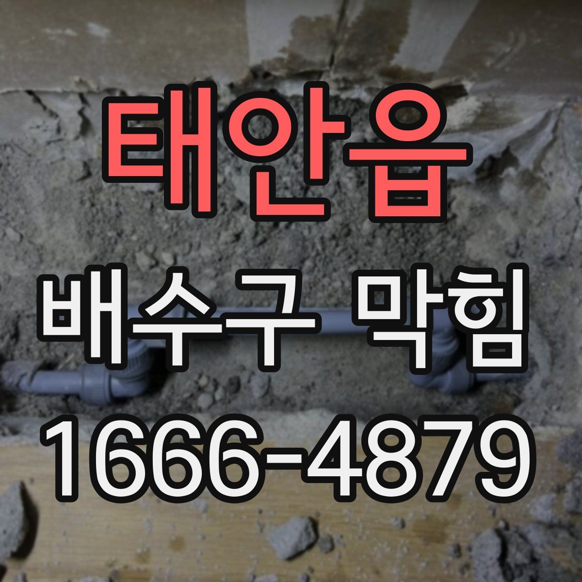 태안읍 배수구 막힘