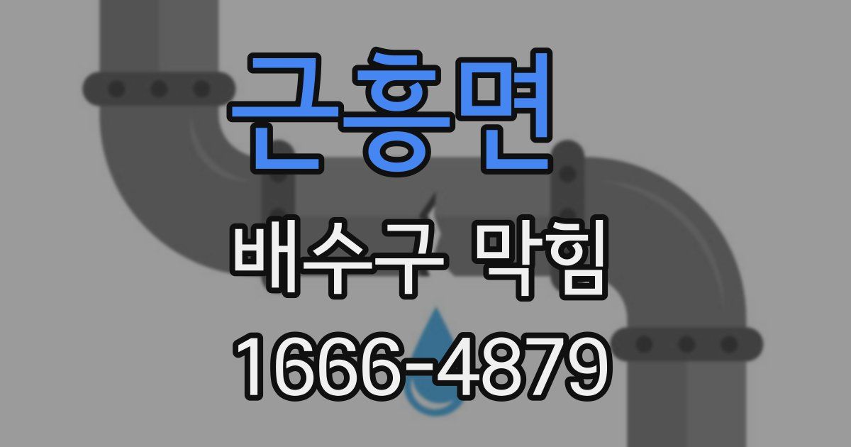 근흥면 배수구 막힘
