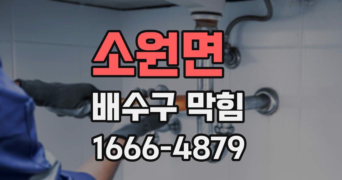 소원면 배수구 막힘