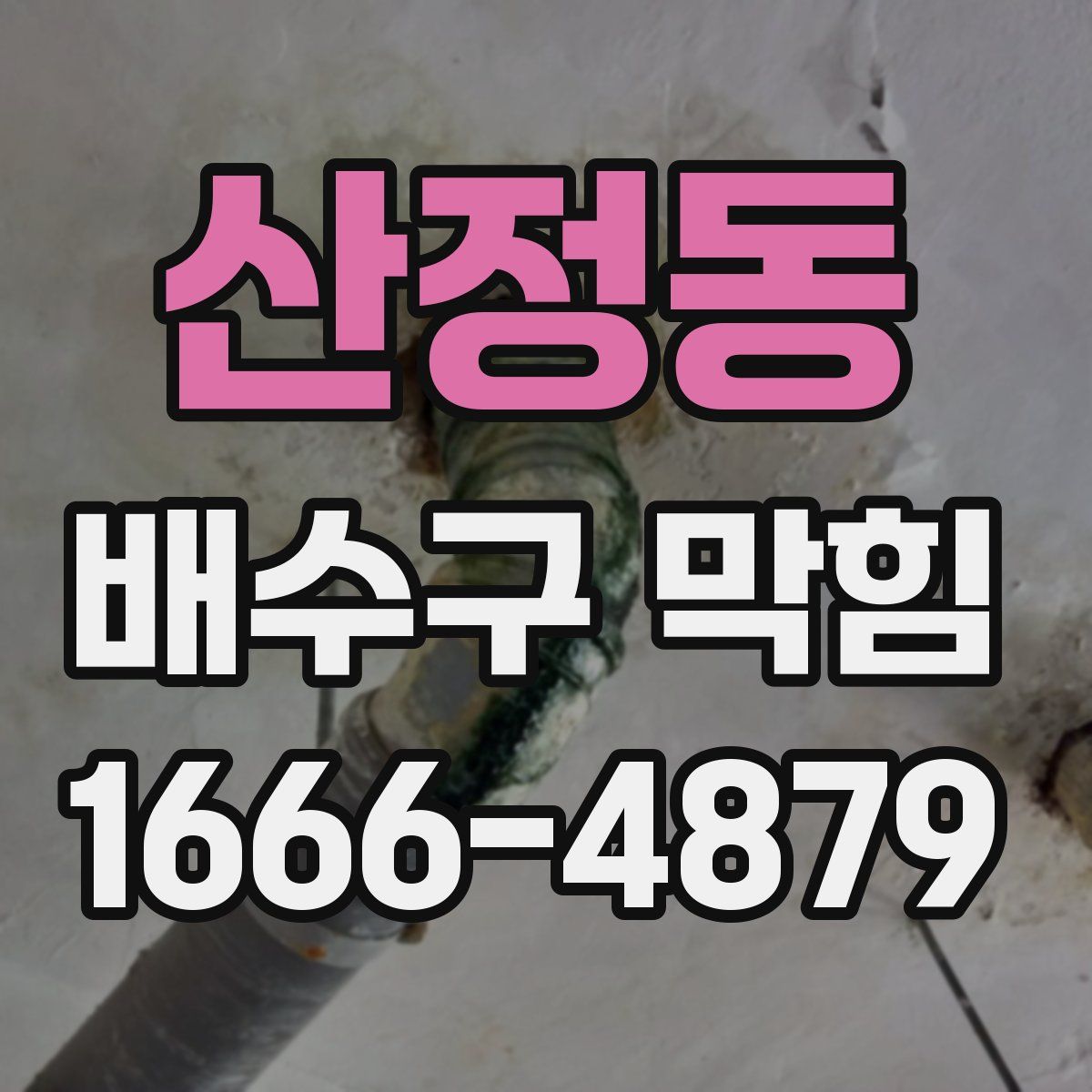 산정동 배수구 막힘