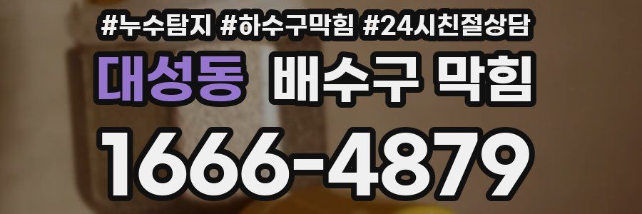 대성동 배수구 막힘
