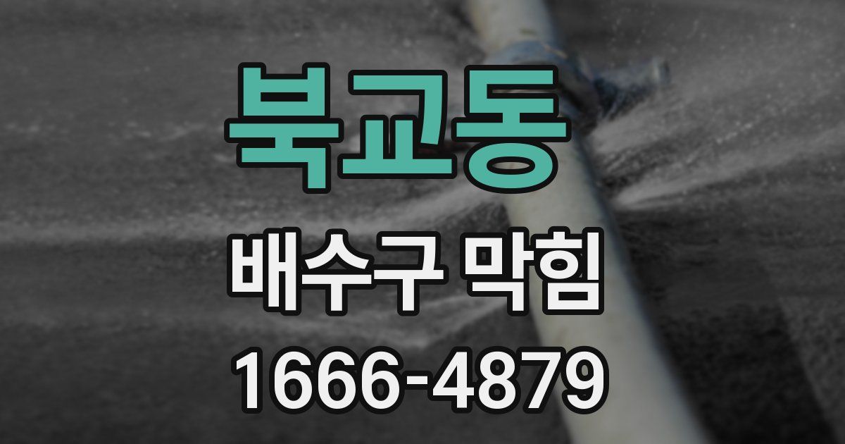 북교동 배수구 막힘