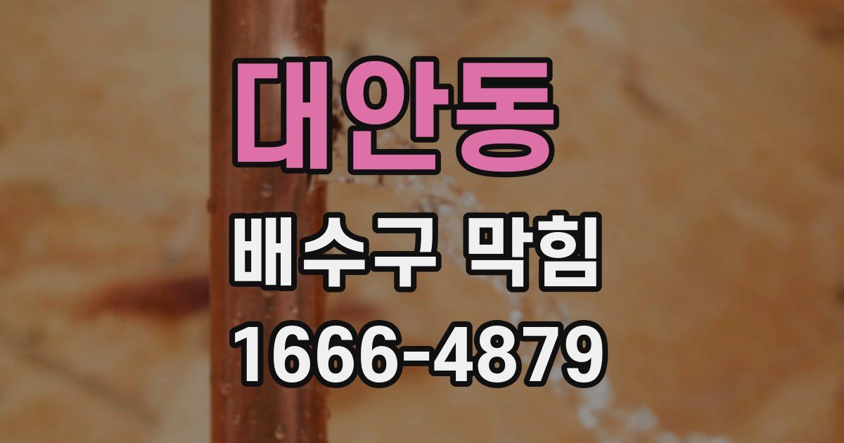 대안동 배수구 막힘