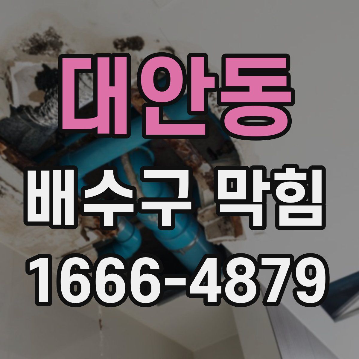 대안동 배수구 막힘