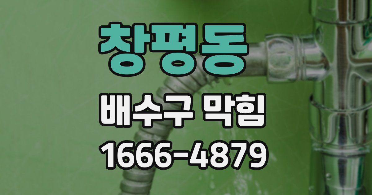 창평동 배수구 막힘