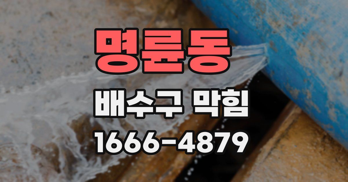 명륜동 배수구 막힘