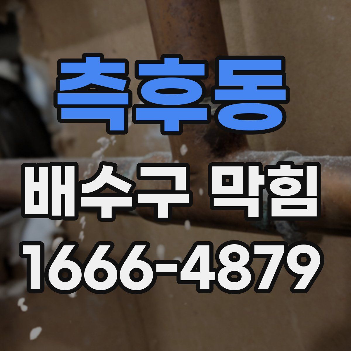 측후동 배수구 막힘