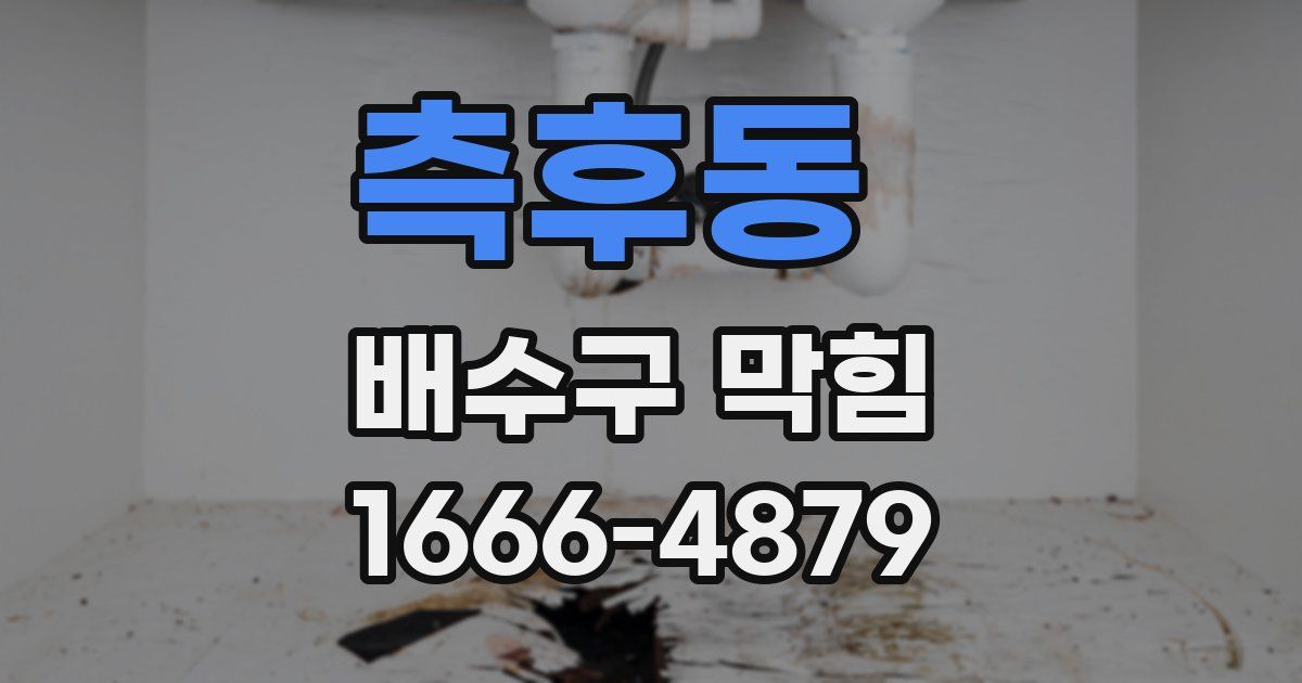 측후동 배수구 막힘