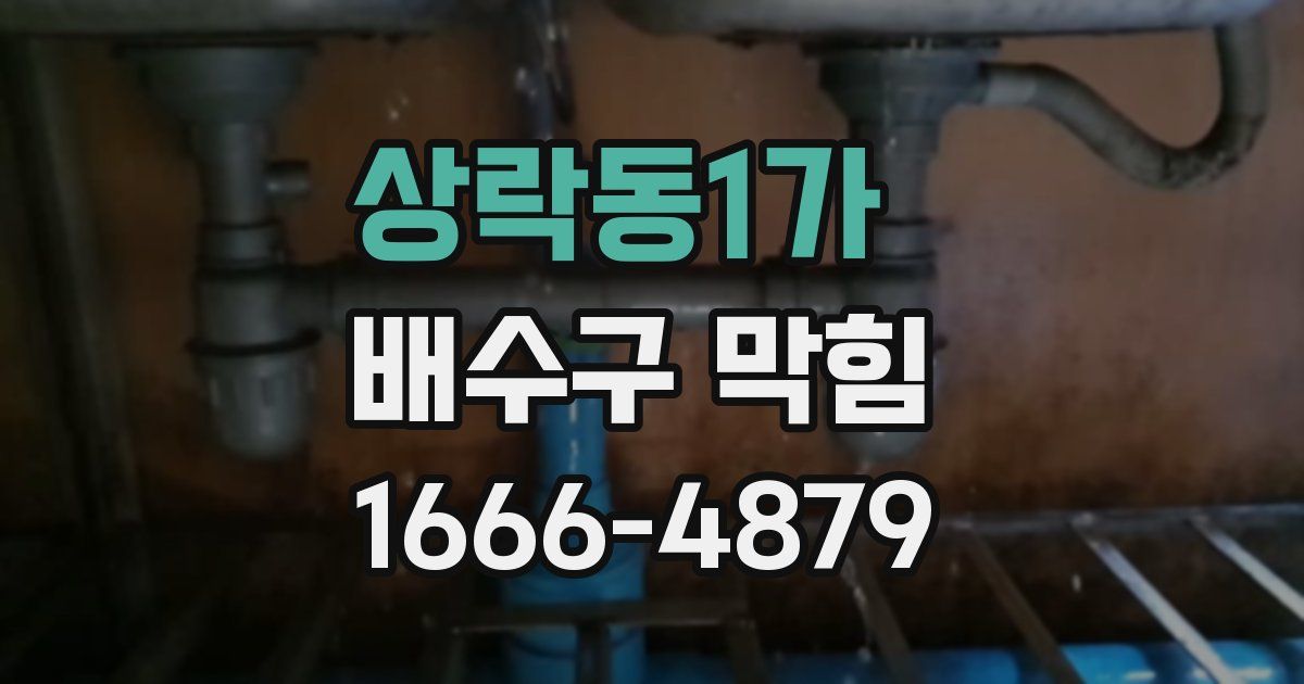 상락동1가 배수구 막힘