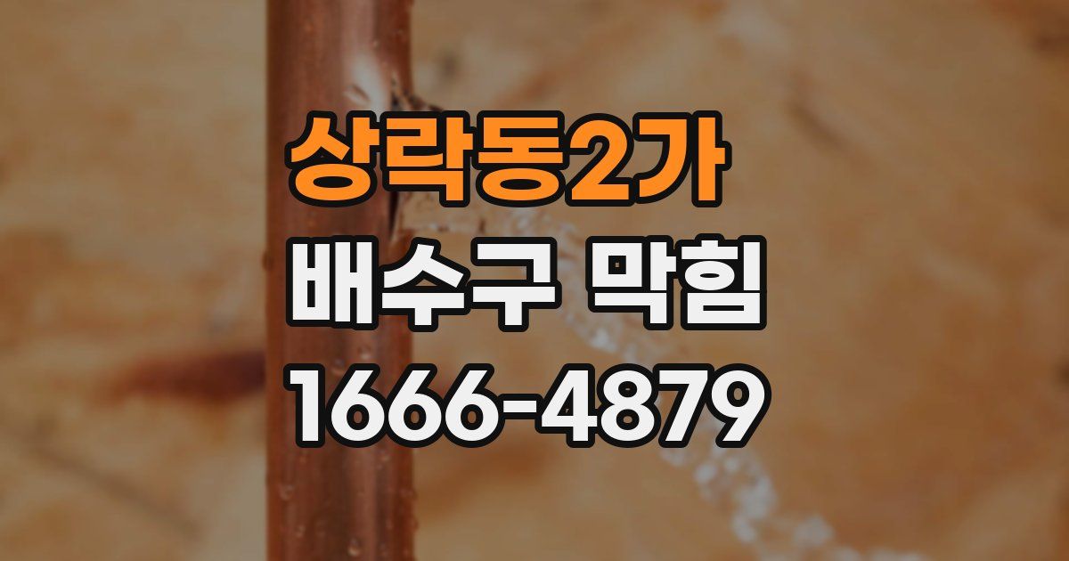 상락동2가 배수구 막힘