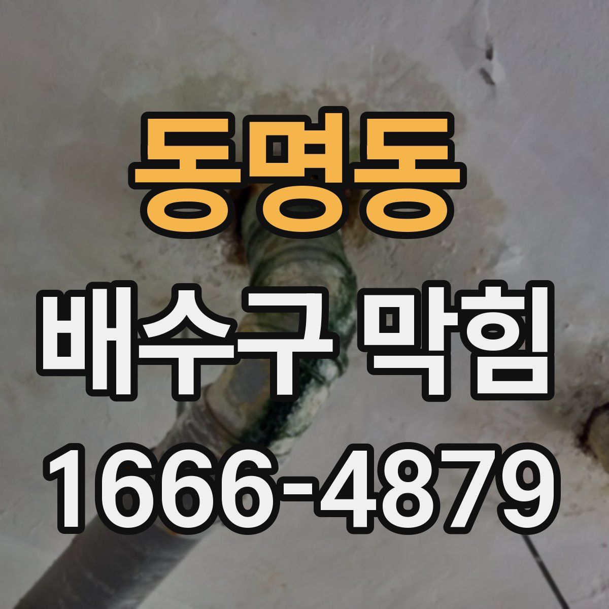 동명동 배수구 막힘