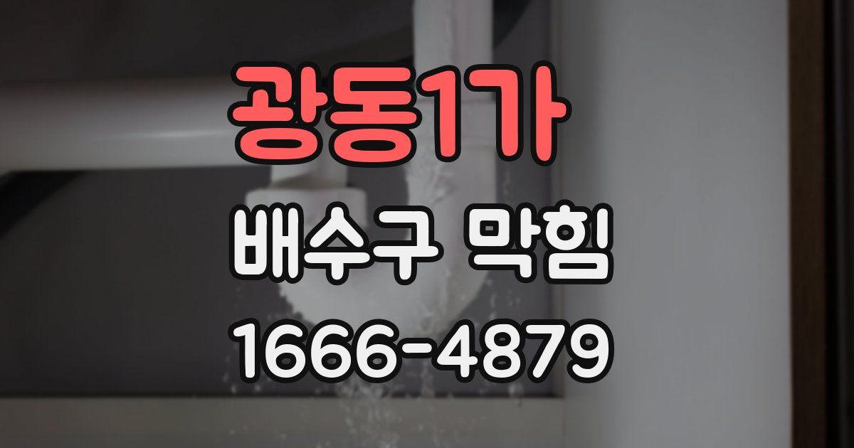 광동1가 배수구 막힘