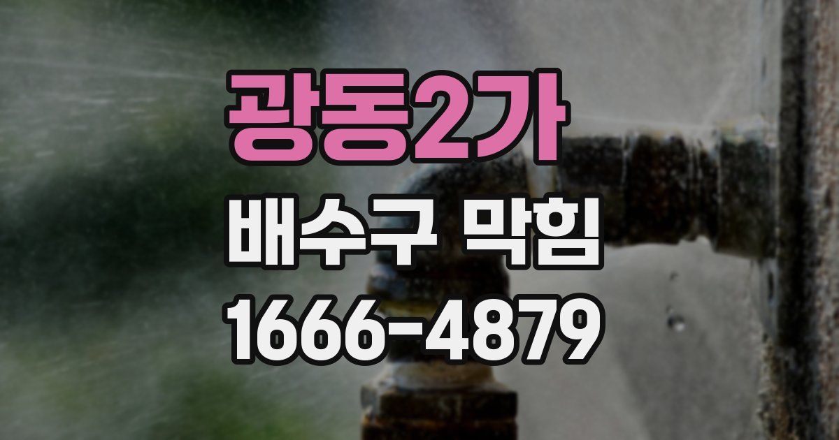 광동2가 배수구 막힘