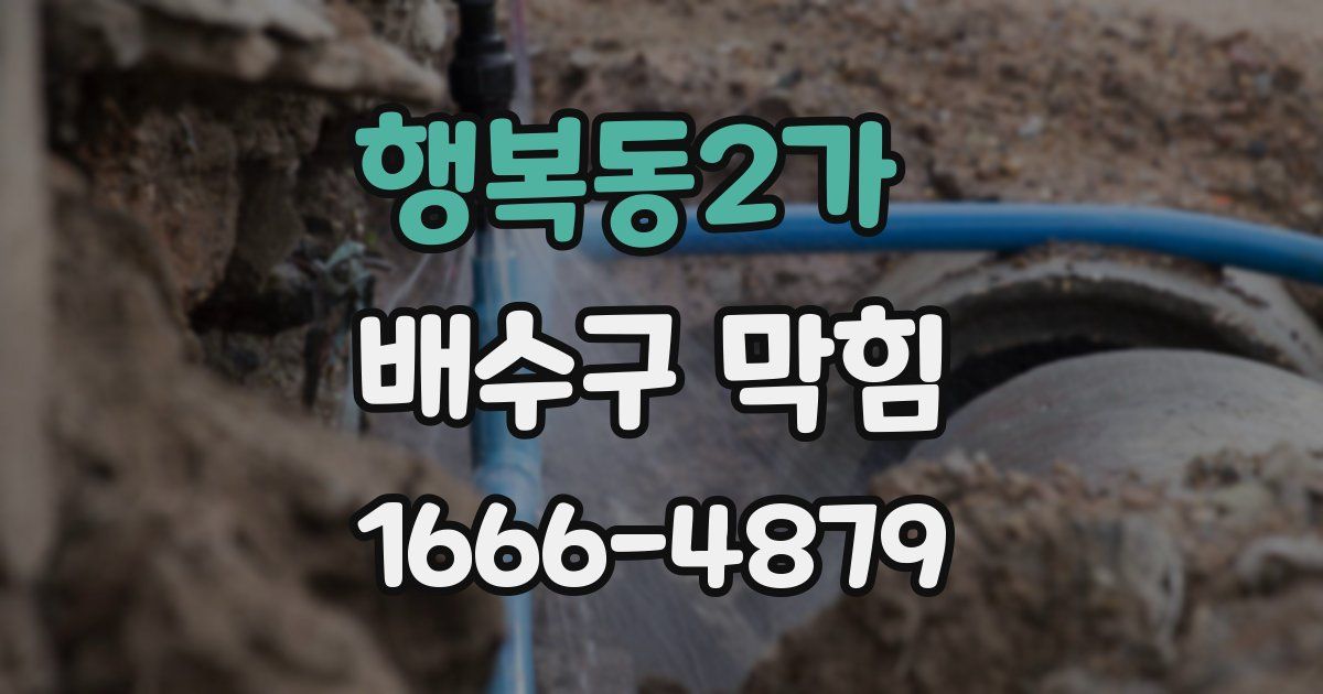 행복동2가 배수구 막힘
