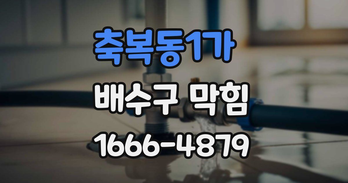축복동1가 배수구 막힘