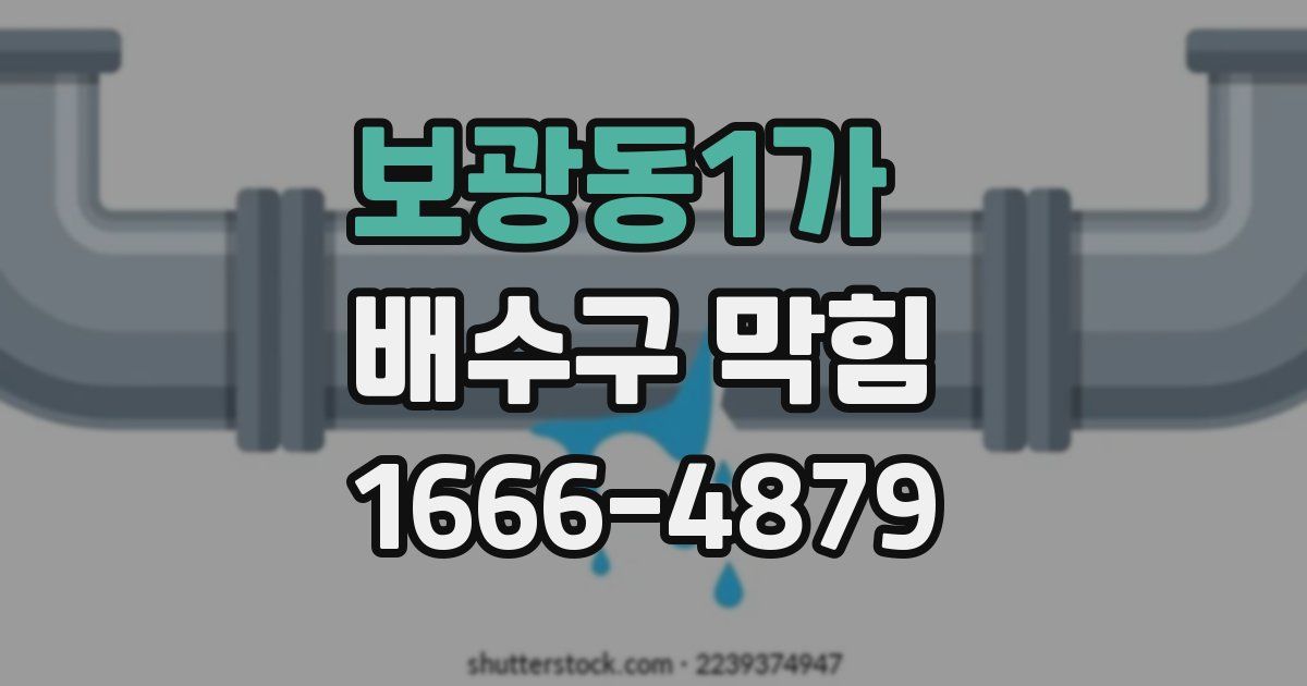 보광동1가 배수구 막힘