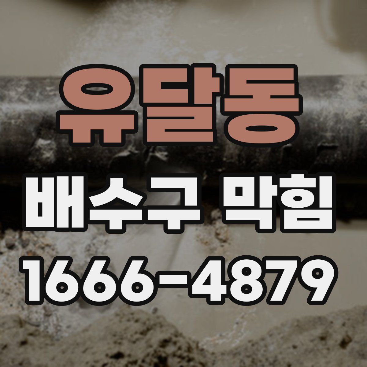 유달동 배수구 막힘
