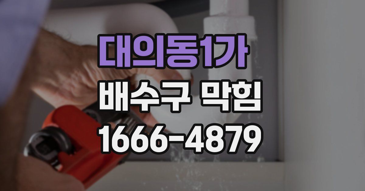 대의동1가 배수구 막힘