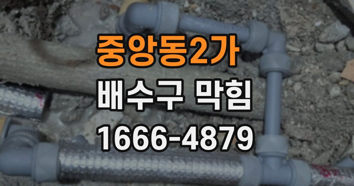 중앙동2가 배수구 막힘