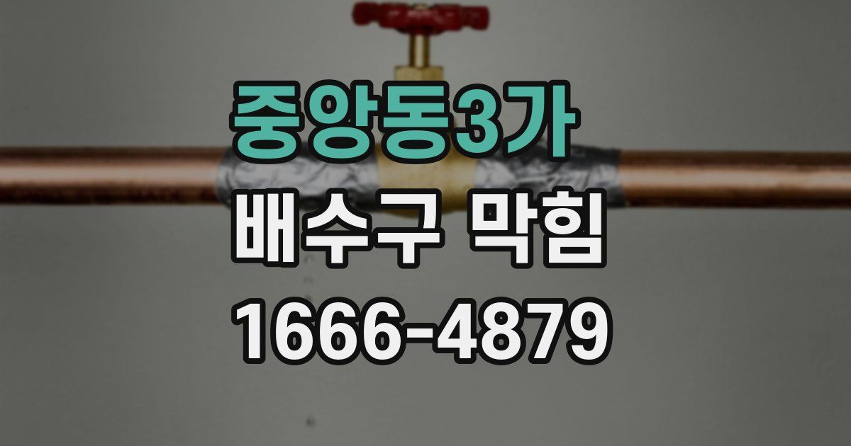 중앙동3가 배수구 막힘