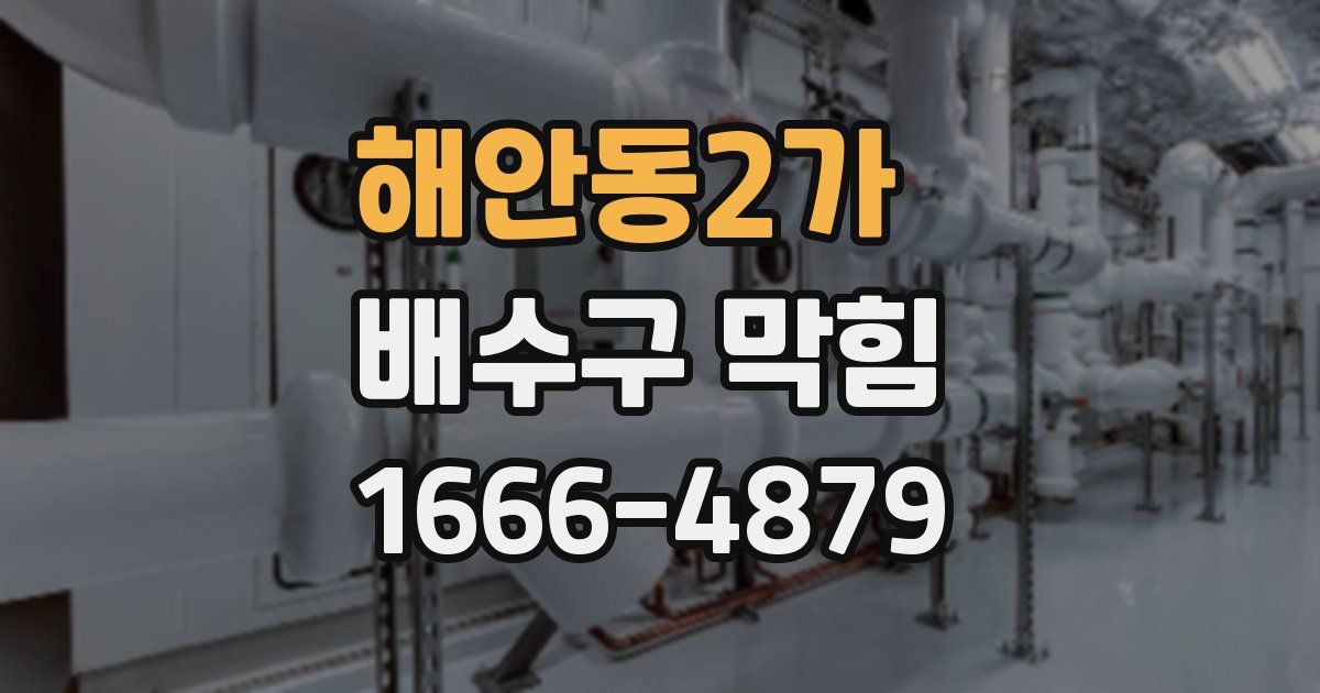 해안동2가 배수구 막힘