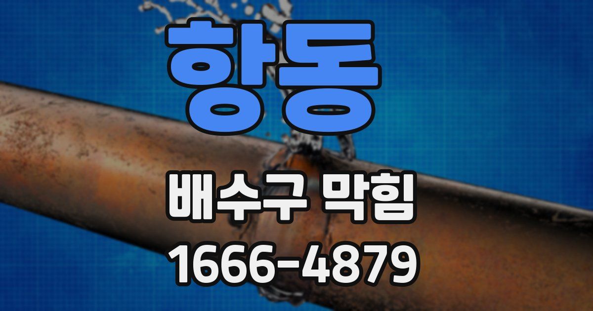 항동 배수구 막힘