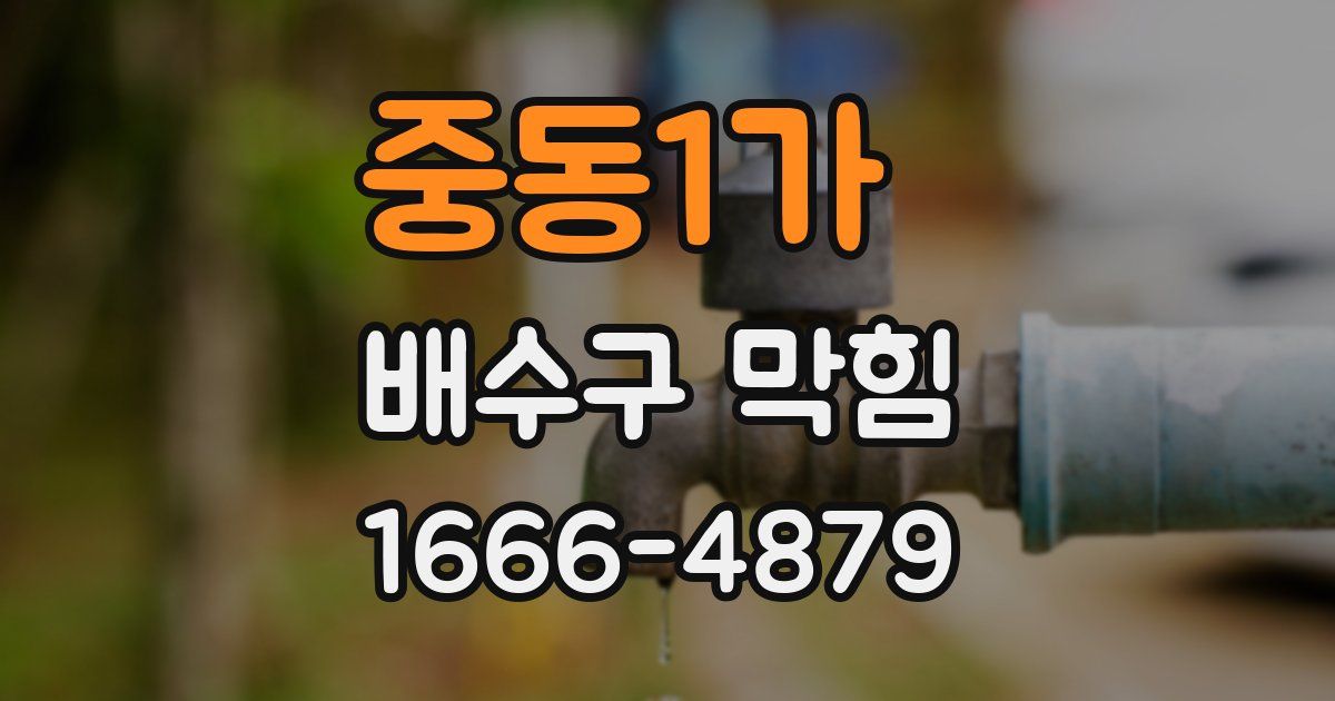 중동1가 배수구 막힘
