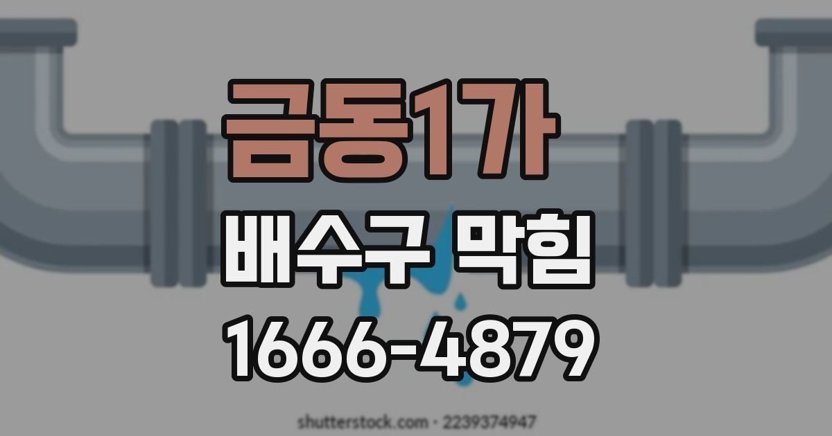 금동1가 배수구 막힘