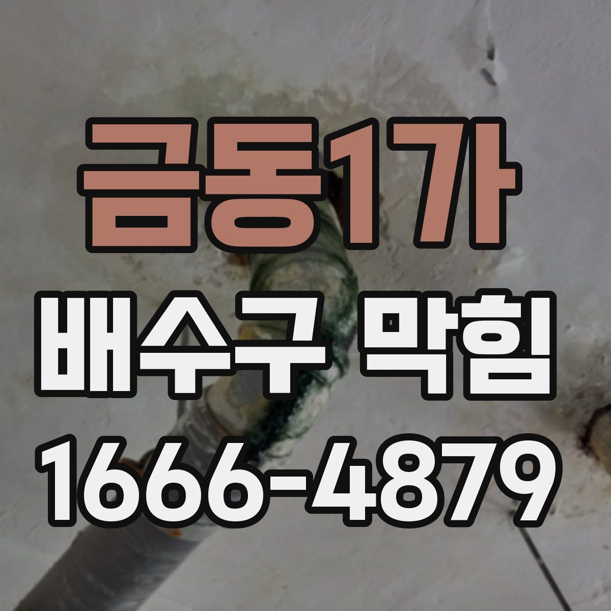 금동1가 배수구 막힘
