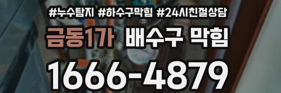 금동1가 배수구 막힘