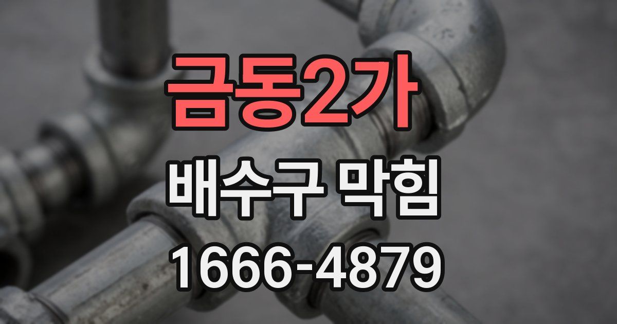 금동2가 배수구 막힘