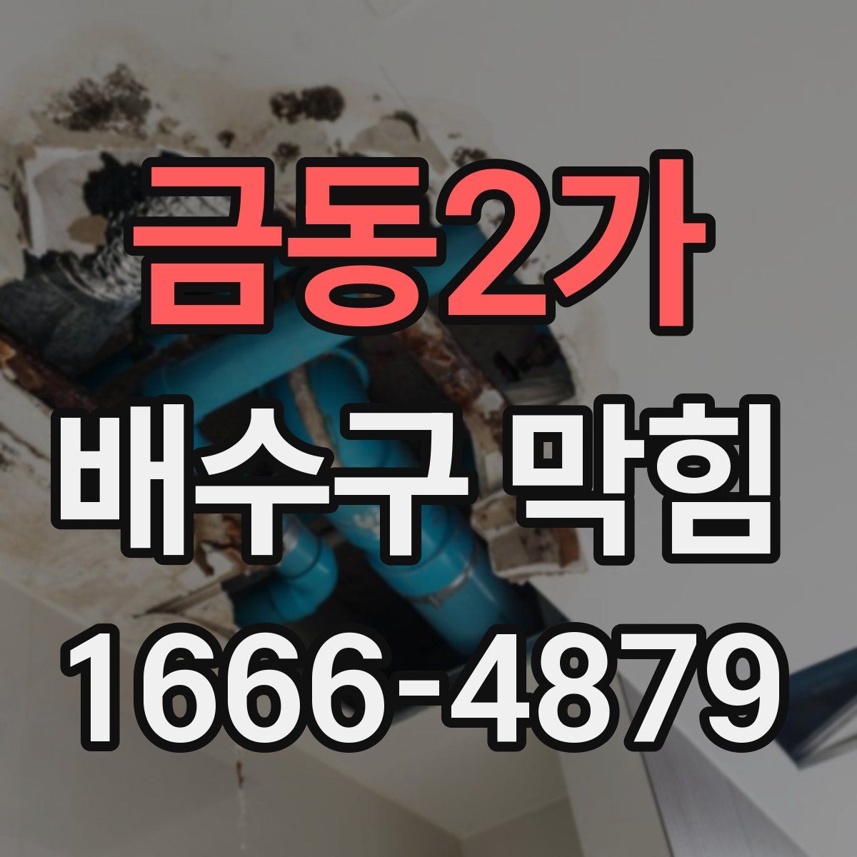 금동2가 배수구 막힘