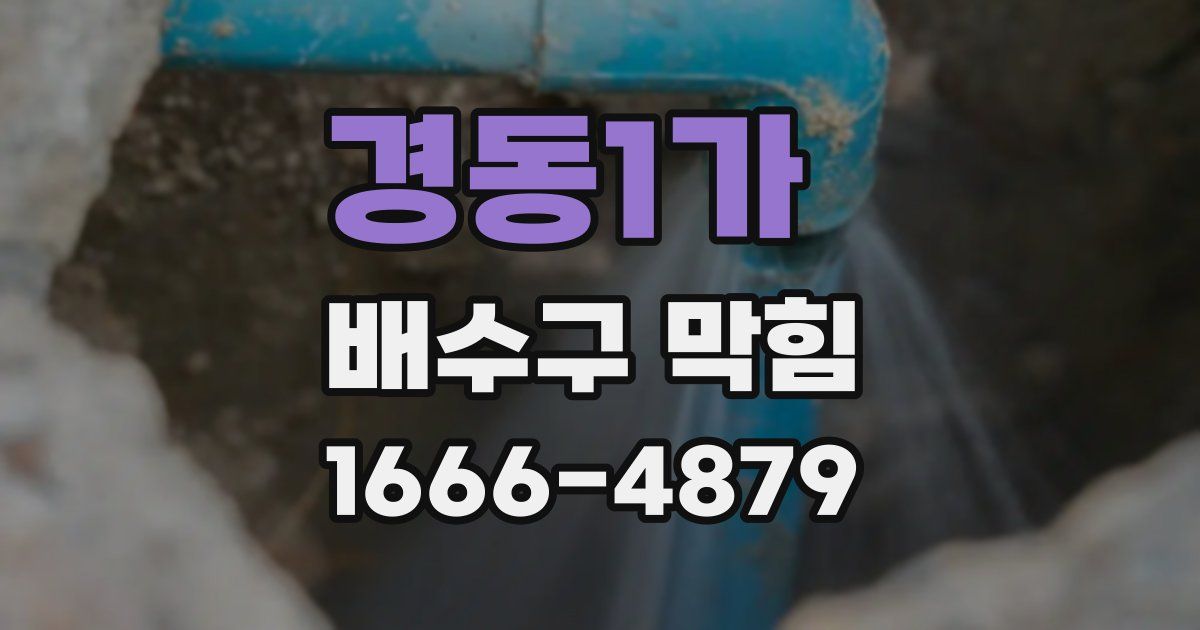 경동1가 배수구 막힘